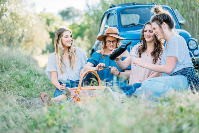 Freunde sitzen auf Gras und schenken Wein ein — Stockfoto