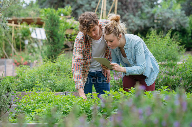 Man and woman in urban garden — Stock Photo