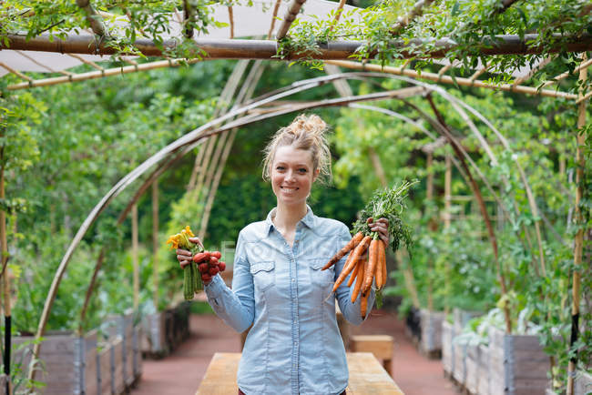 Femme tenant des grappes de carottes — Photo de stock