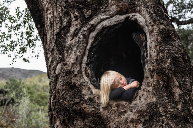 Ragazzo, nella cavità dell'albero — Foto stock