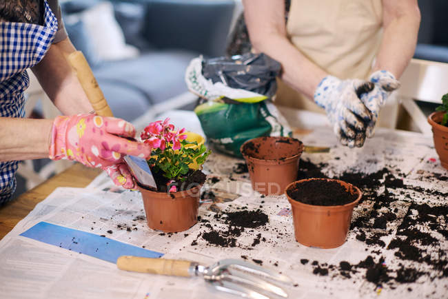 Mulher vasos plantas na mesa — Fotografia de Stock