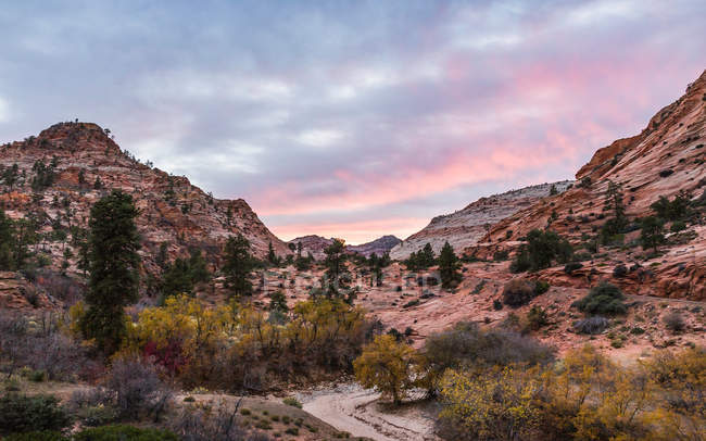 Vista panorámica del Parque Nacional de Zion - foto de stock