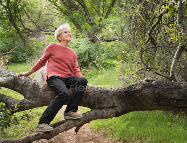 Donna anziana seduta sul tronco d'albero — Foto stock