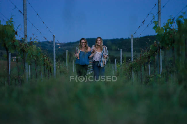 Туристы в винограднике, Тоскана, Италия — стоковое фото