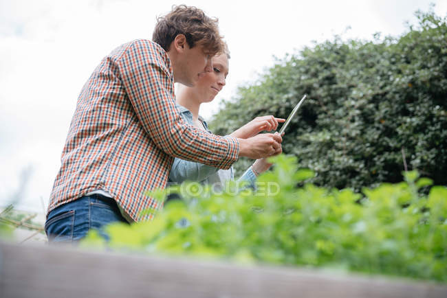 Homem e mulher fotografando plantas — Fotografia de Stock