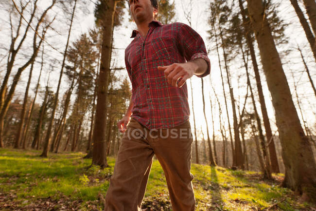 Низький кут зору людини, що йде в лісі — стокове фото