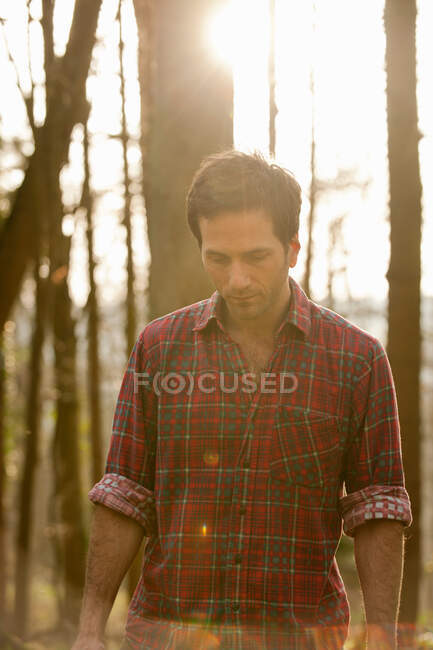 Man walking in forest — Stock Photo