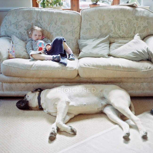 Дівчина на дивані і собака — стокове фото