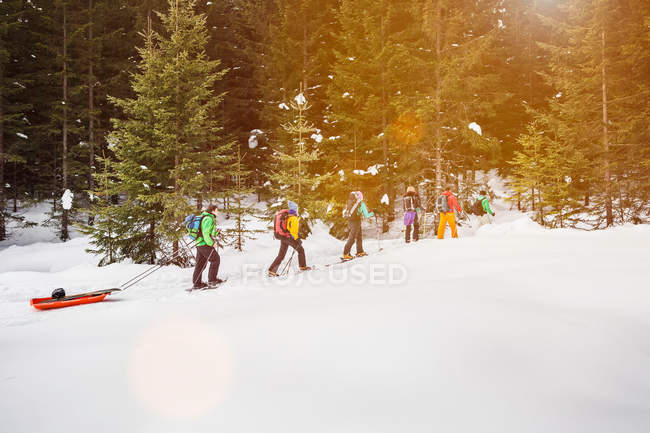 Groupe de personnes skier dans les arbres — Photo de stock