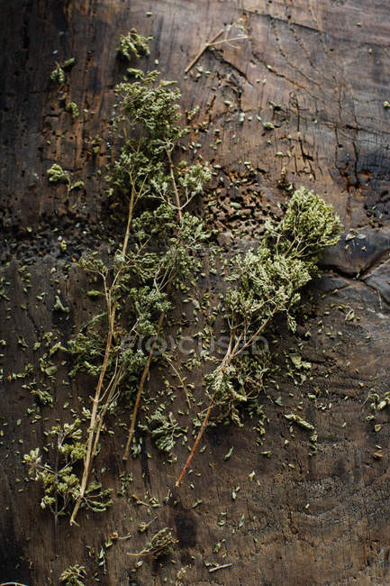 Herbes séchées sur planche de bois — Photo de stock