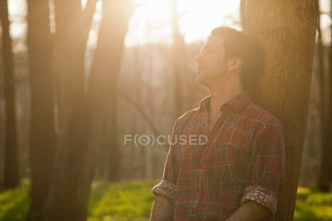 Homem apoiando-se na árvore na floresta — Fotografia de Stock