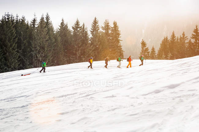 Groupe de personnes skier dans les arbres — Photo de stock