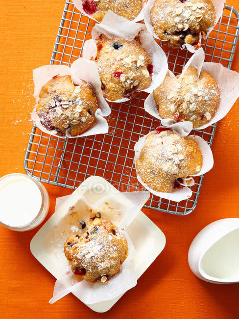 Muffins de avena de bayas en estante de enfriamiento - foto de stock