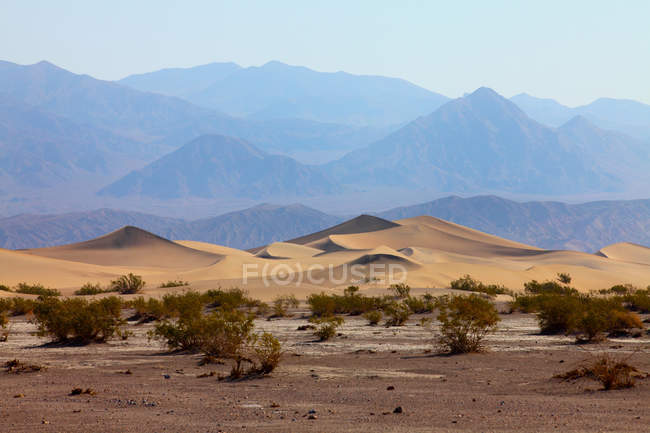 Песчаные дюны и кусты возле гор — стоковое фото
