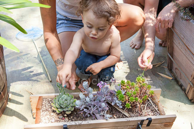 Boy pointing at plants — Stock Photo