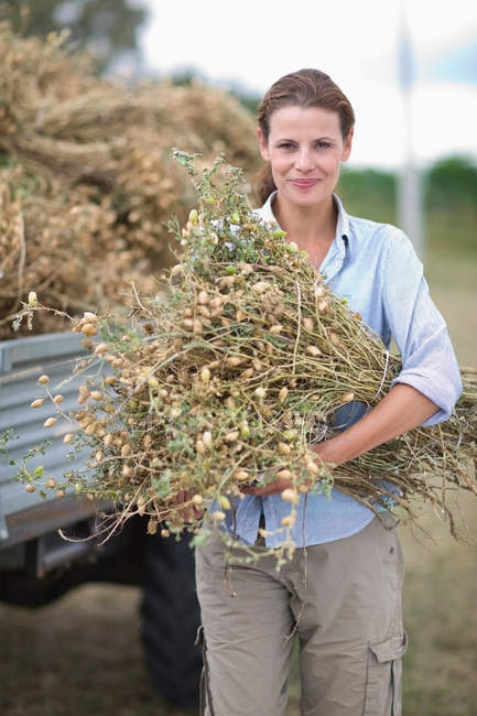 Agricoltore posa con una manciata di coltura secca — Foto stock
