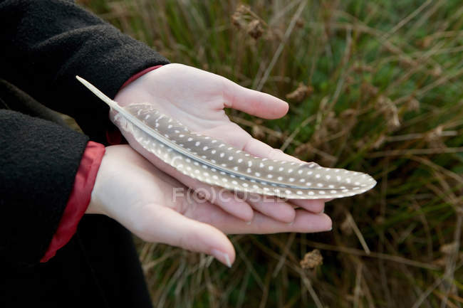 Female hands holding dotted feather — Stock Photo