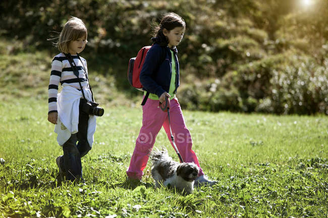 Kinder gehen Hund in Feld spazieren — Stockfoto