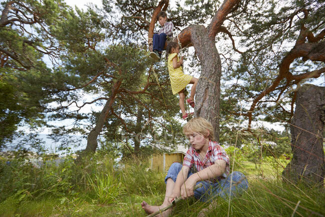 Мальчик сидит на дереве, девочка взбирается по веревочной лестнице на дерево, а мальчик сидит в траве — стоковое фото