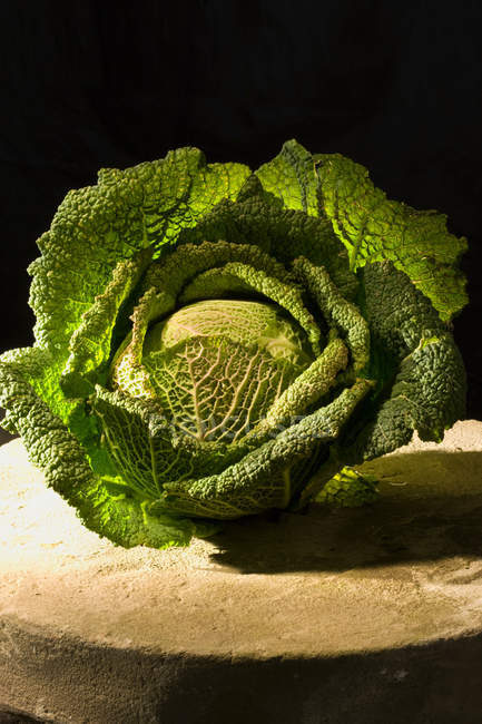 Ripe savoy cabbage in bright sunlight — Stock Photo