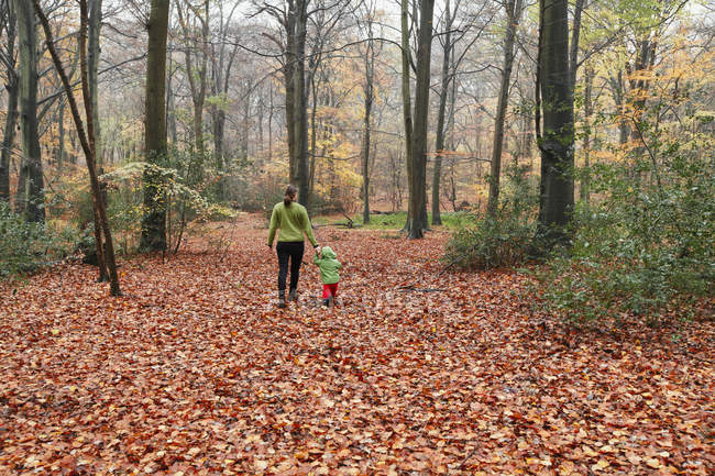 Mère et fils marchant dans les feuilles d'automne — Photo de stock