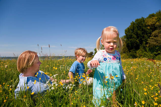 Pai e filhos no campo das flores — Fotografia de Stock