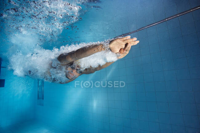 Пловец ныряет в бассейн — стоковое фото