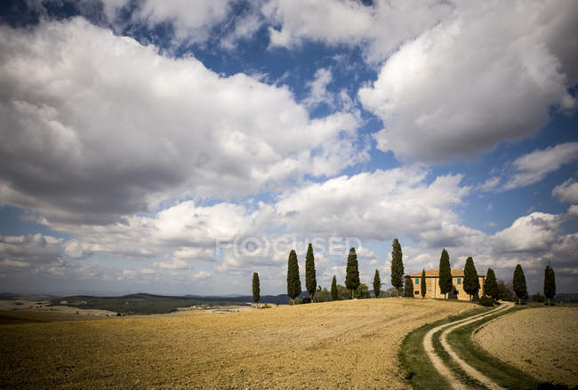 Field and clouds at Siena — Stock Photo
