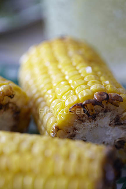 Три початка сладкой кукурузы — стоковое фото