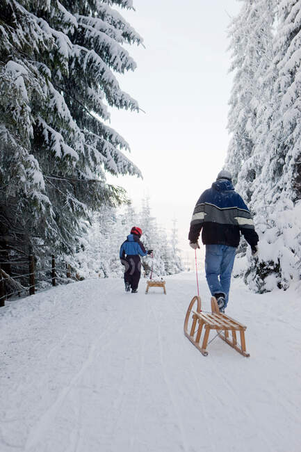 Winter sledding excursion in winter forest — Stock Photo