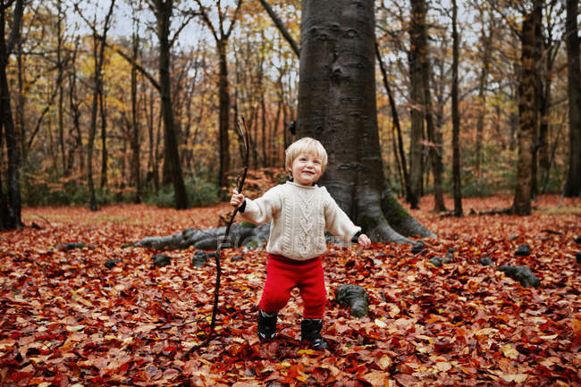 Тодлер ходить осіннім листям — стокове фото