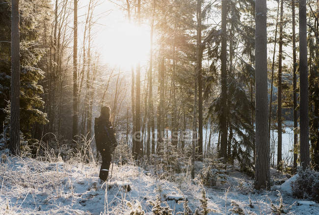 Зрілий чоловік стоїть у сніжному покритому лісі — стокове фото