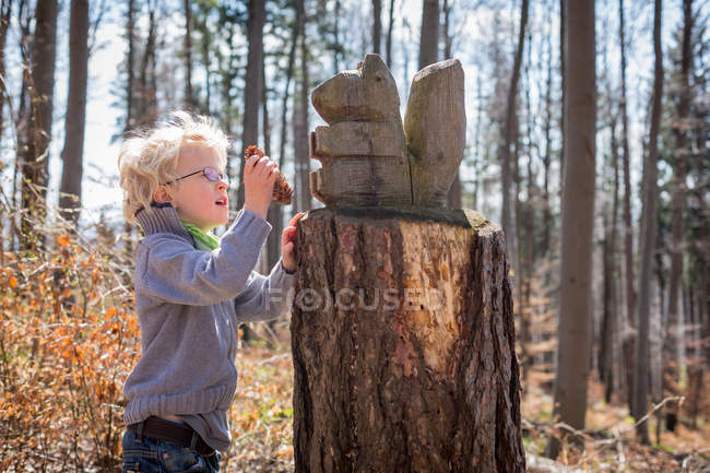 Мальчик осматривает сосновую шишку в лесу — стоковое фото