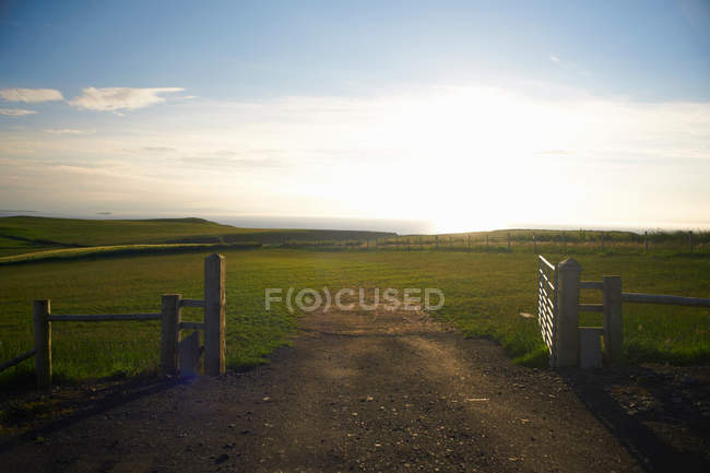 Dirty road in rural grassy field — Stock Photo