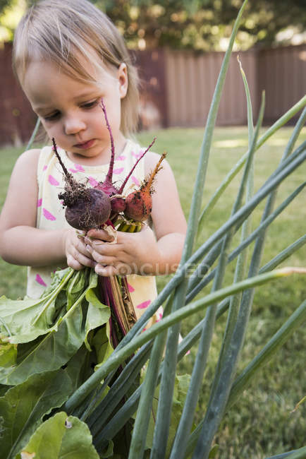 Niña en el jardín, sosteniendo verduras frescas - foto de stock
