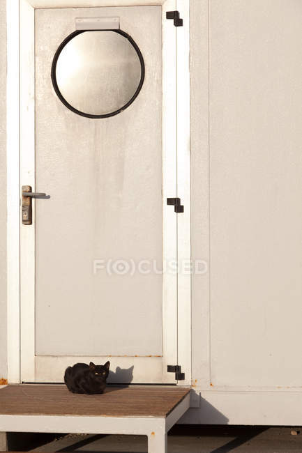 Gato preto no passo perto da porta de entrada branca — Fotografia de Stock