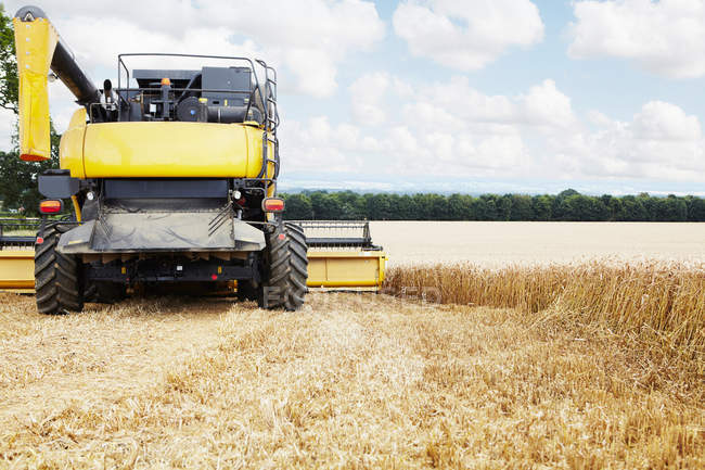 Harvester working in crop field — Stock Photo