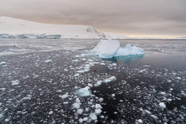 View of Icebergs in Lemaire channel, Antarctica — Stock Photo