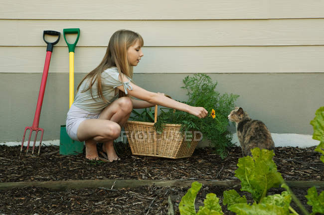 Jeune femme montrant fleur au chat — Photo de stock
