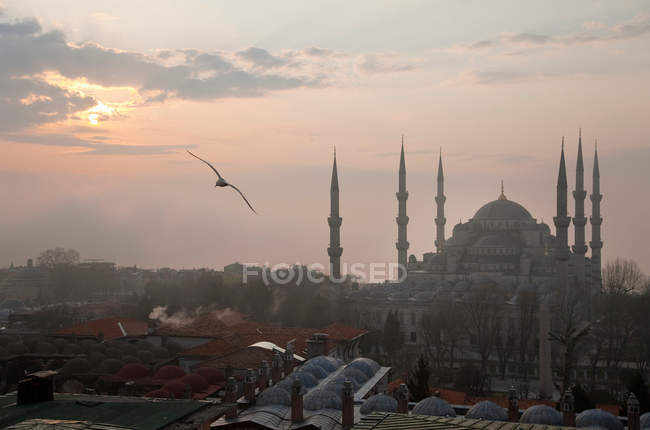 Mezquita azul al amanecer - foto de stock
