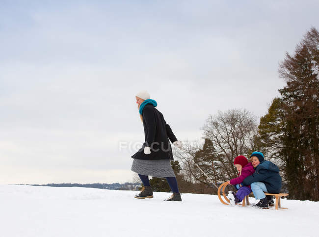 Мать тянет детей на санях в снегу — стоковое фото