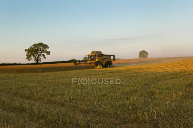 Crop field and combine harvester — Stock Photo