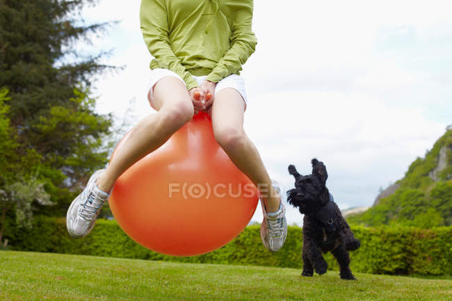 Imagem cortada de mulher na bola bouncy jogar com o cão — Fotografia de Stock