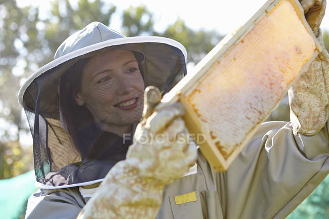 Female beekeepers holding up honeycomb tray on city allotment — Stock Photo