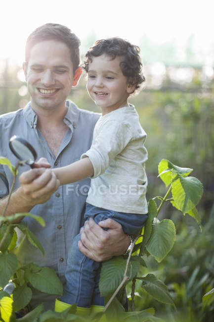 Moyenne adulte homme et fils regardant les plantes sur allotissement — Photo de stock