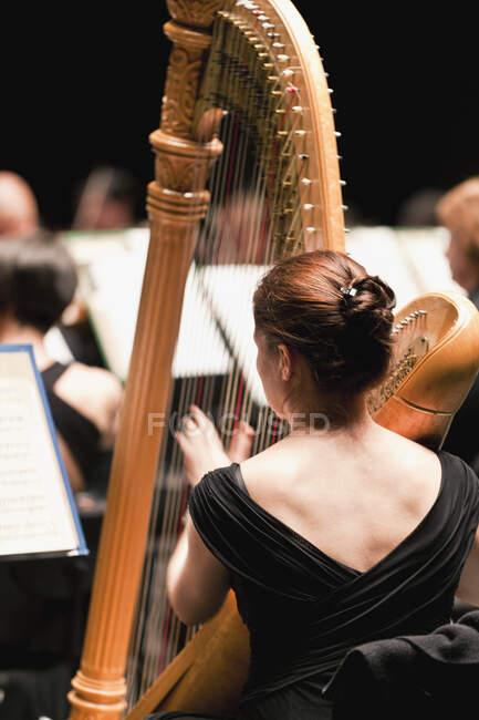 Harp player in orchestra — Stock Photo