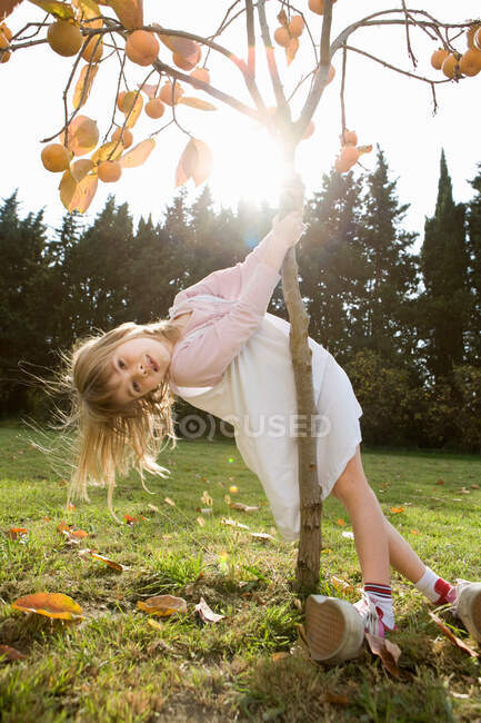Девушка играет с деревом — стоковое фото