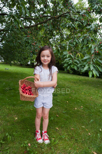Chica recogiendo frutas en la cesta, se centran en primer plano - foto de stock