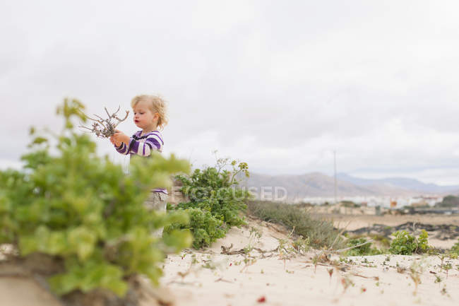 Toddler girl playing with twigs on beach — Stock Photo
