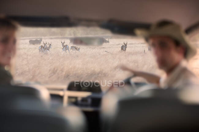 People looking at wildlife through windscreen, Stellenbosch, South Africa — Stock Photo